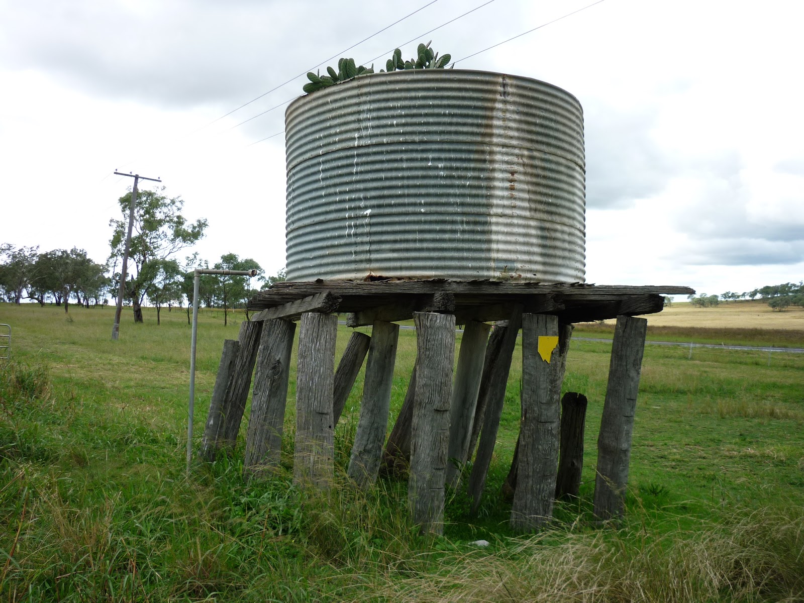 BEST LIFE WATER TANK STANDS