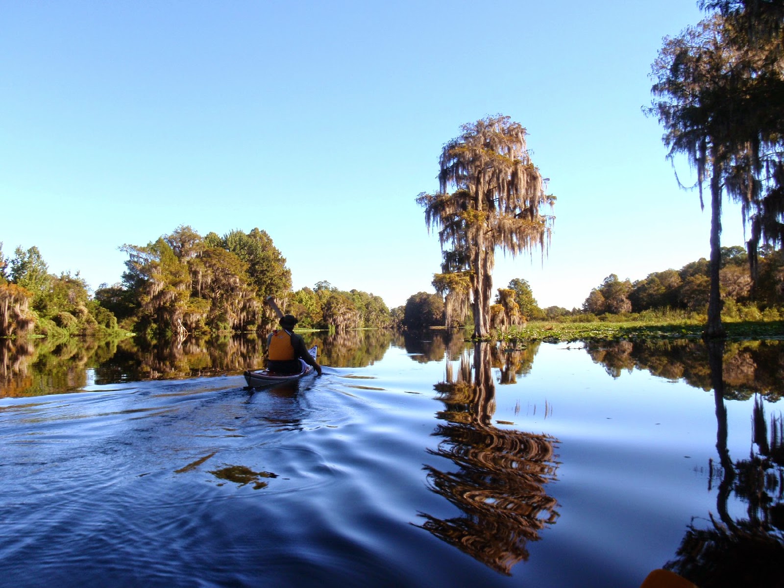 PenobscotPaddles Withlacoochee River to Rainbow River, Dunnellon, Florida