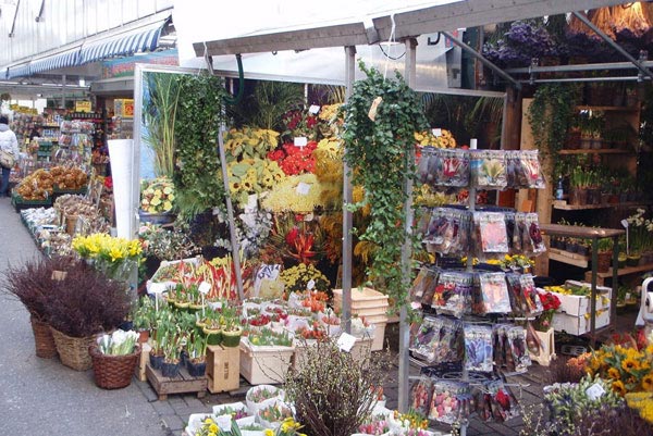 [Image: cho-hoa-noi-o-amsterdam-12.jpeg]