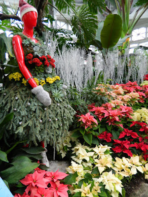 Floral skater at Allan Gardens Conservatory Christmas Flower Show 2015 by garden muses-not another Toronto gardening blog
