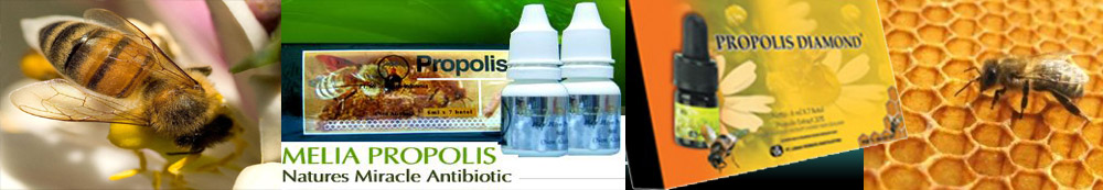 Distributor Propolis Jakarta