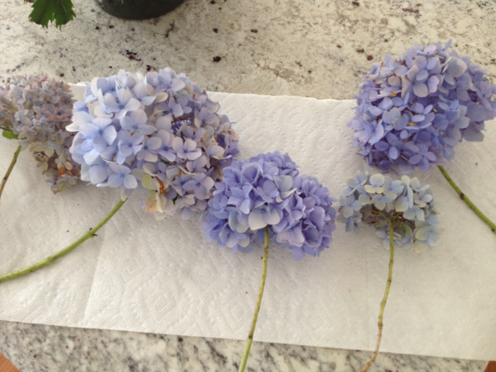Two It Yourself How to dry hydrangeas