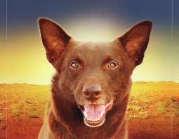 Red Dog True Blue Soundtrack Red Dog True Blue Soundtrack