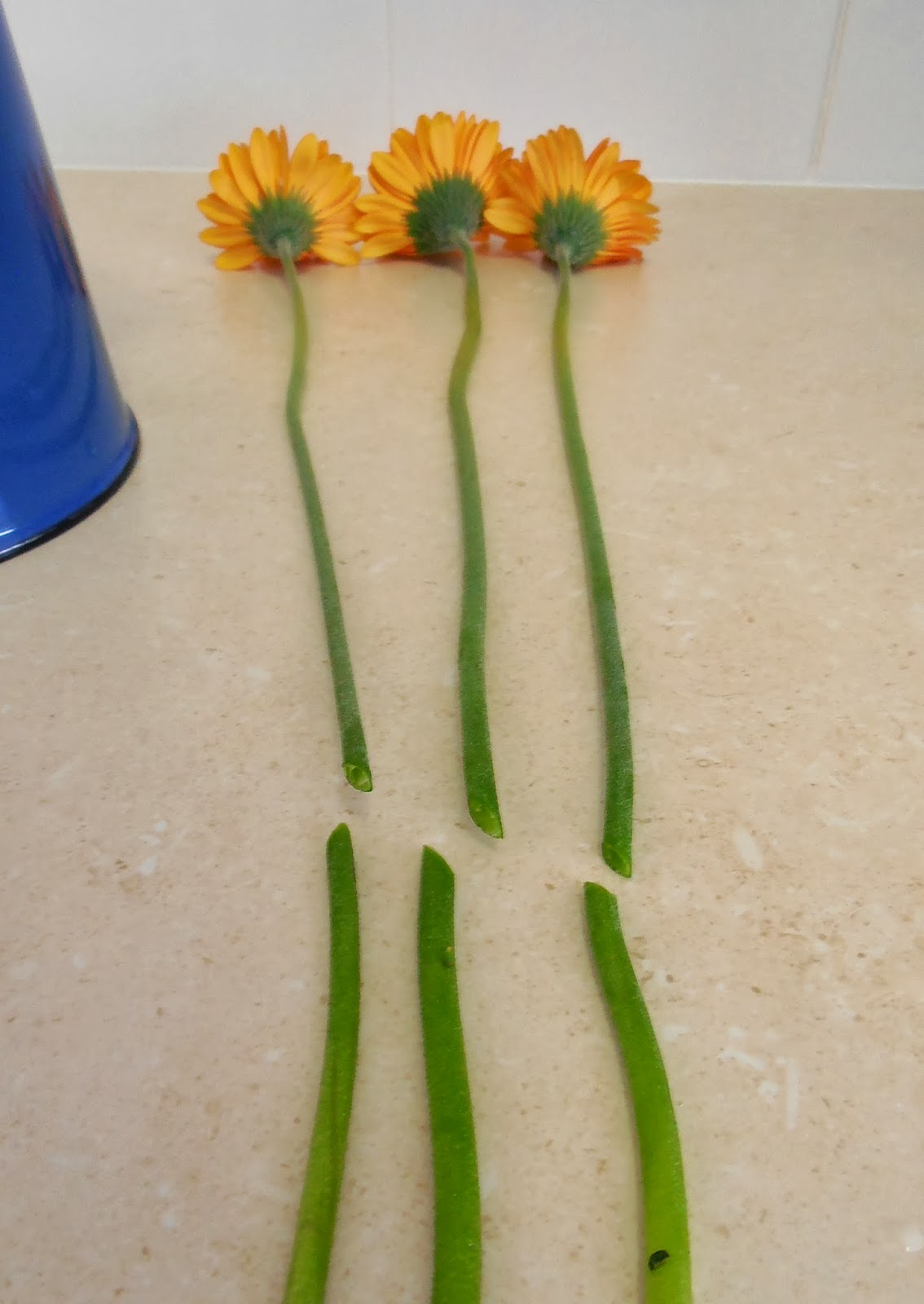 Coventry Lane Design Australia Day Table & DIY Flower Arrangement