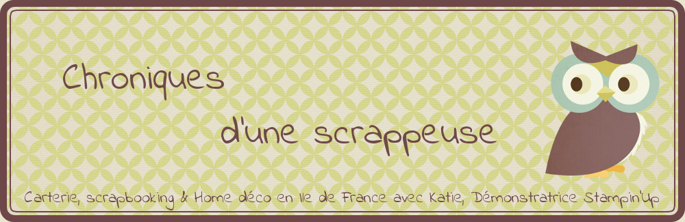 Chroniques d'une scrappeuse