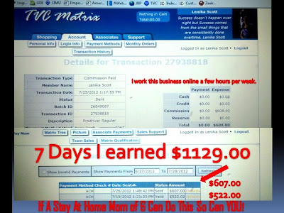 how do i earn money with mca