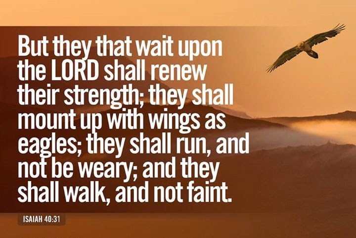 Wait On The Lord !