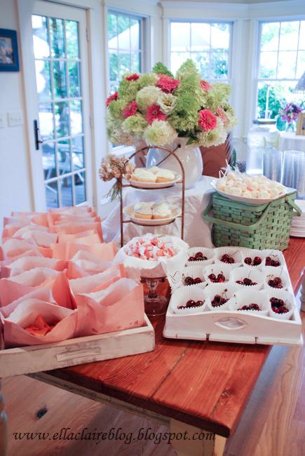 Ella Claire}: Ella's First Birthday Party~ Shabby Chic Garden Party