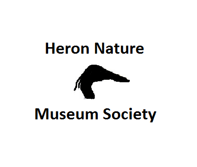 Heron Nature Museum Society