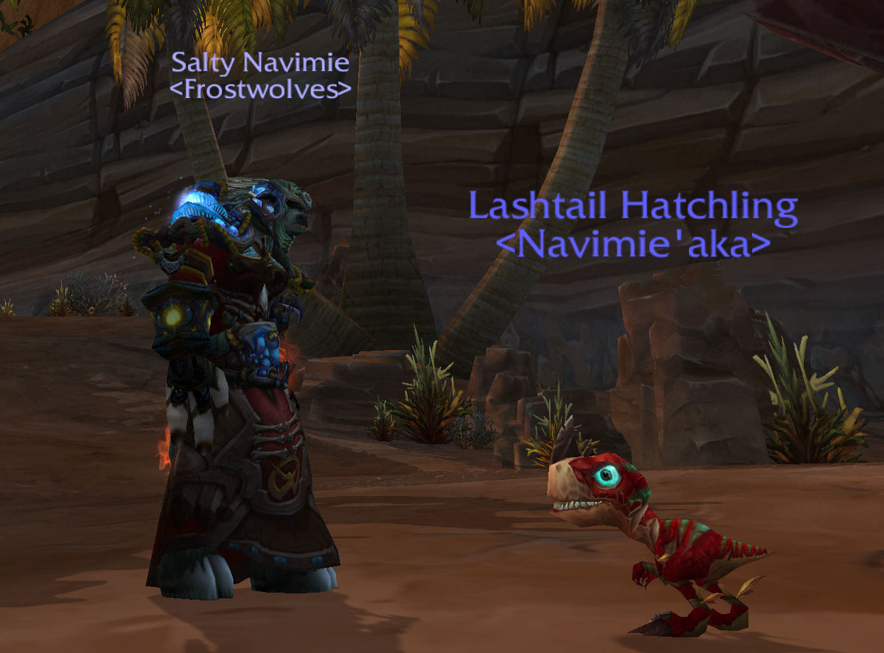 My Lashtail Hatchling - reunited at last!