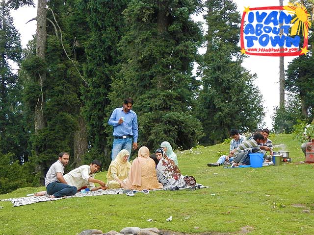 Gulmarg Kashmir India Strawberry Valley