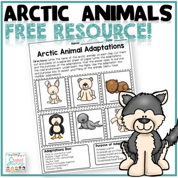 The Best of Teacher Entrepreneurs III: FREE SCIENCE LESSON - “Arctic Animals  - Free Resource!”