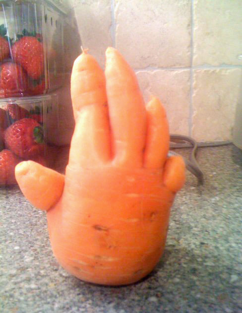 Can Anyone Help - I have a Teenager - Page 7 Hand+Shaped+Carrot+(1)