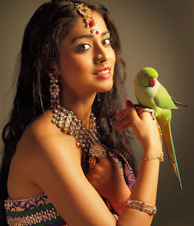 Shriya Saran Looking Hot in Kannada movie Chandra