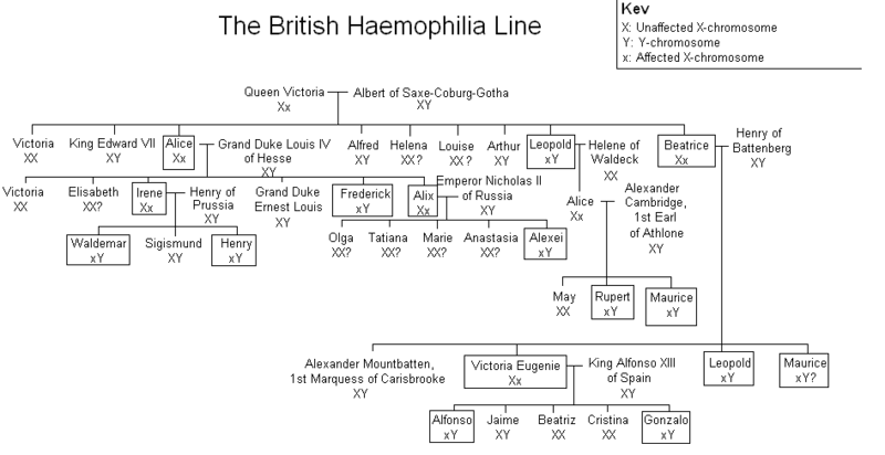 Hemophilia Royal Disease