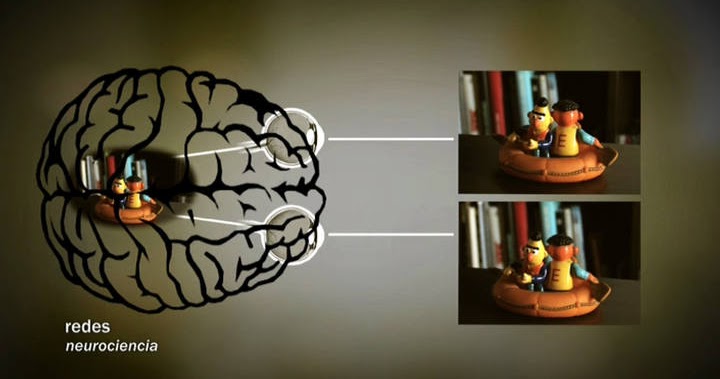 CULTURA CIENTÍFICA 4º ESO y 1º Bachillerato, ex cmc Bárbara de Braganza