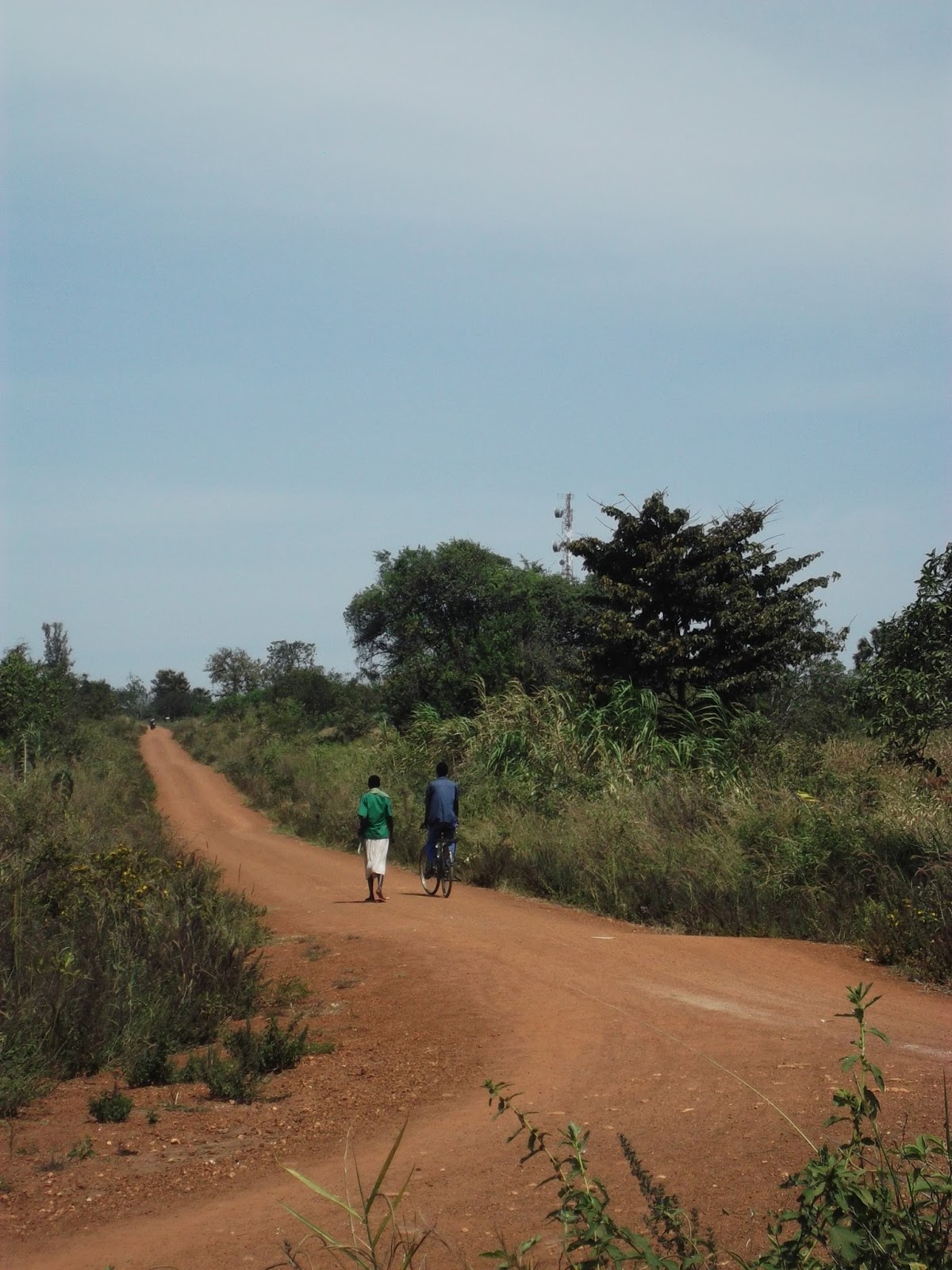 hiv test clinics