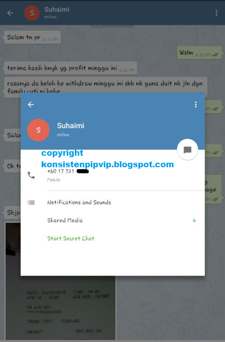 Forex untuk newbie