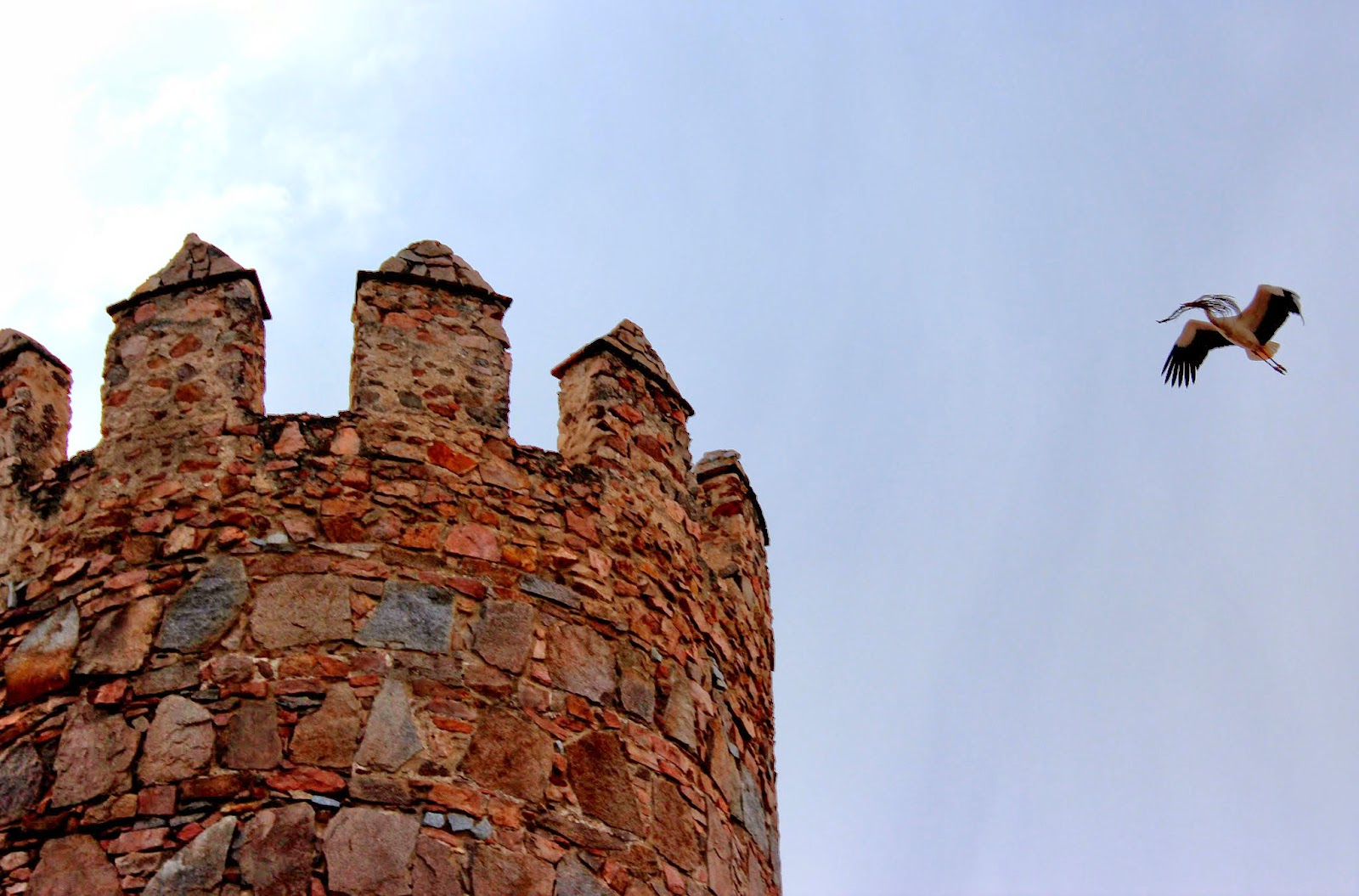 Murallas de Ávila y cigüeña