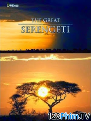 Miền Đất Serengeti Vĩ Đại