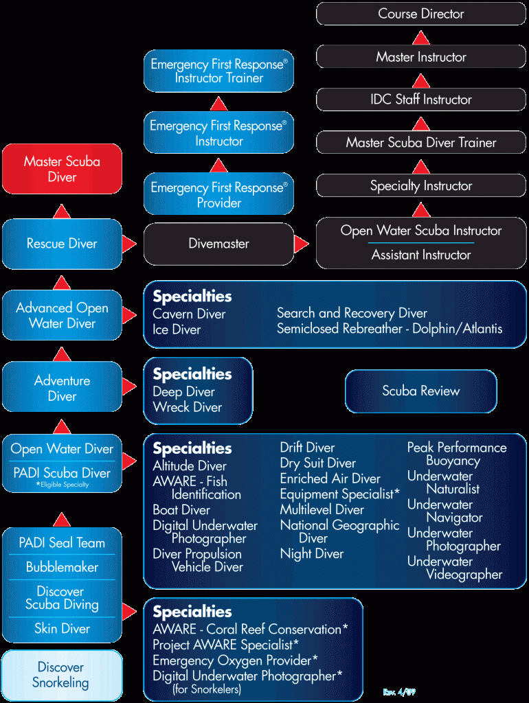 Padi Certification Chart