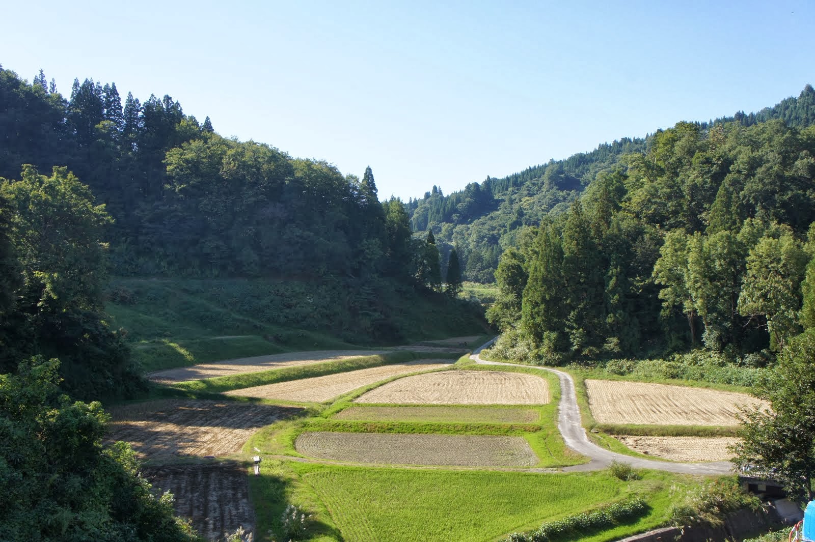 山あいの田んぼ