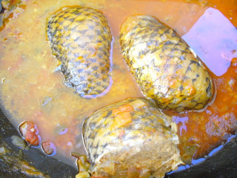 Buchada de peixe tilápia