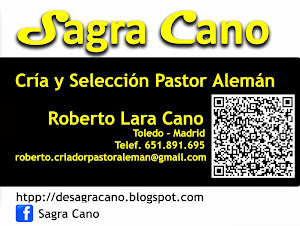 Contacto