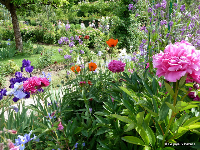 Giverny - maison et jardin de Claude Monet - le clos normand