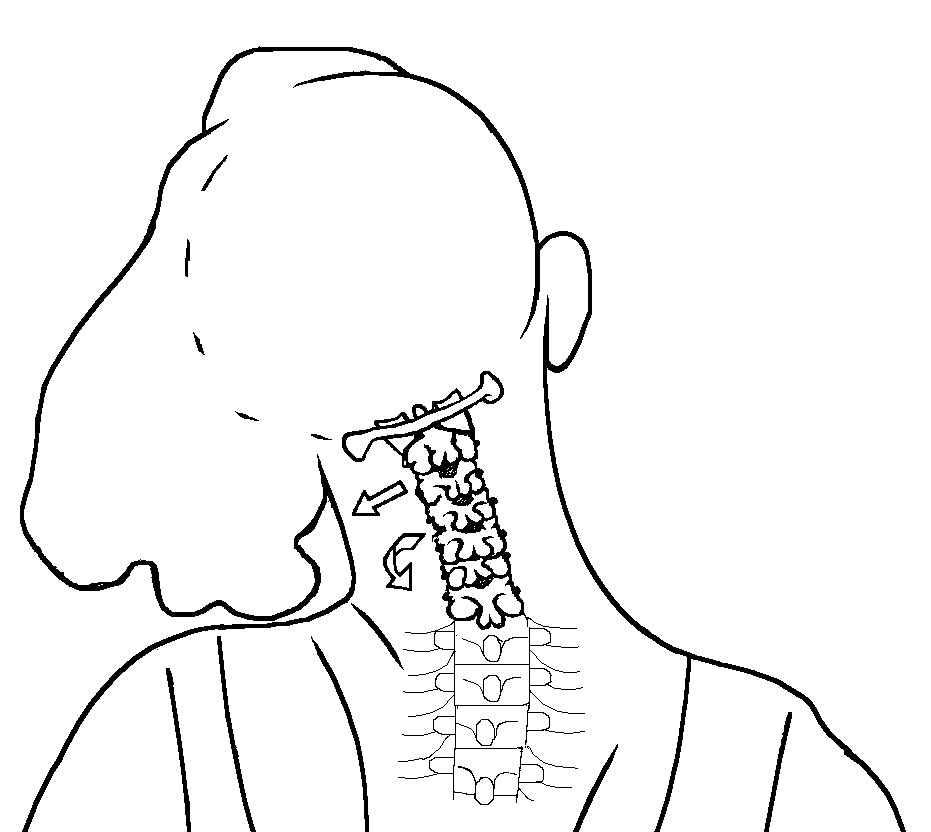 Spinal Manipulation At Home THE NECK BONE'S CONNECTED TO THE HEAD BONE