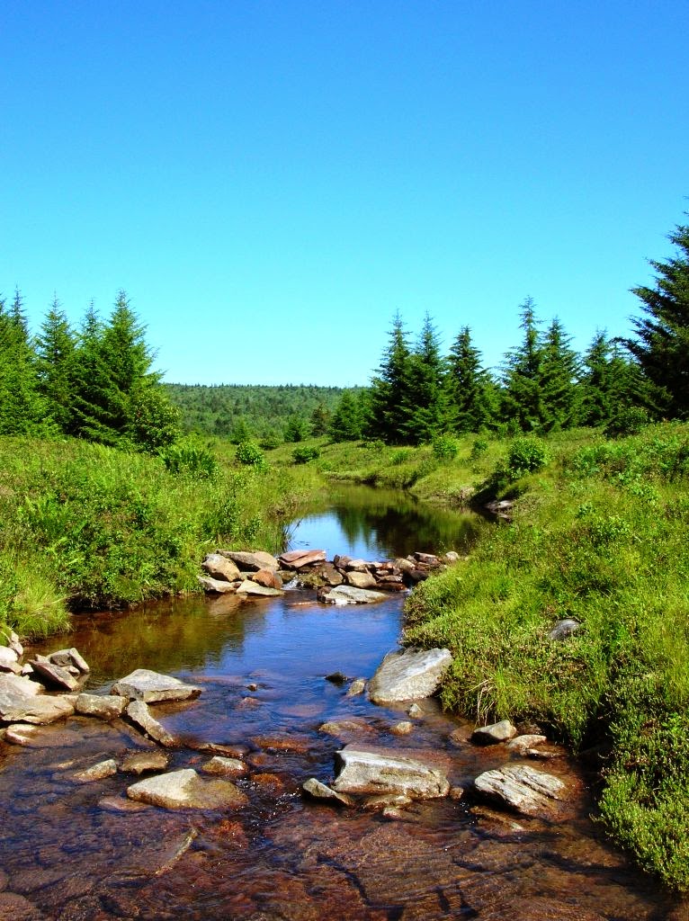 New Deal of the Day Dolly Sods Wilderness and the Civilian
