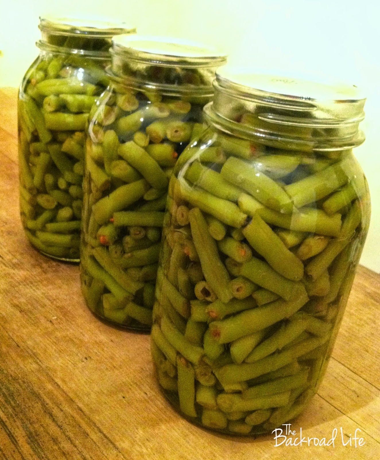 The Backroad Life Canning Green Beans