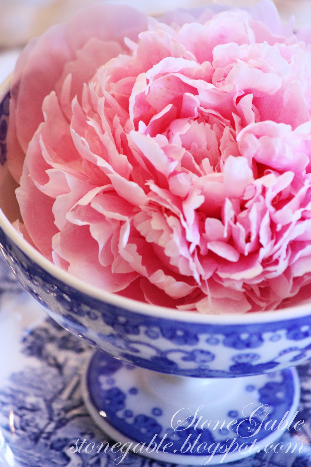 BLUE WILLOW AND PINK PEONIES TABLESCAPE - StoneGable