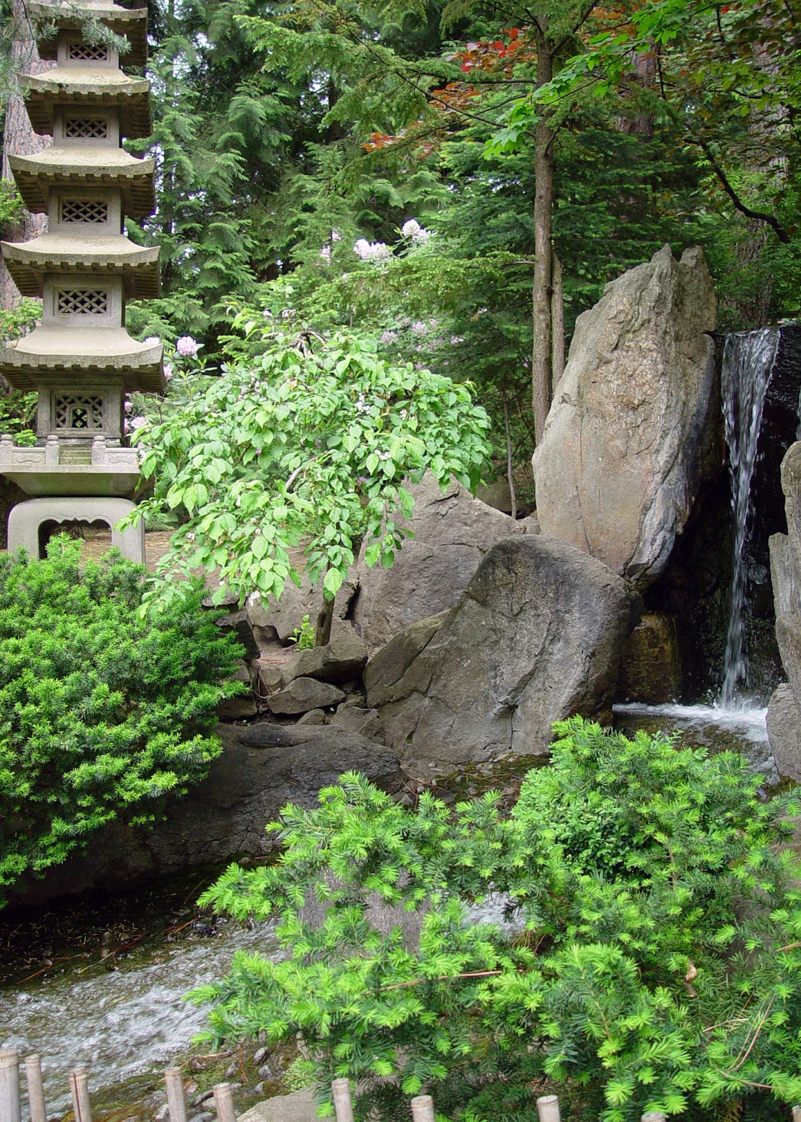 Eden By The Bay: Japanese Garden Highlights