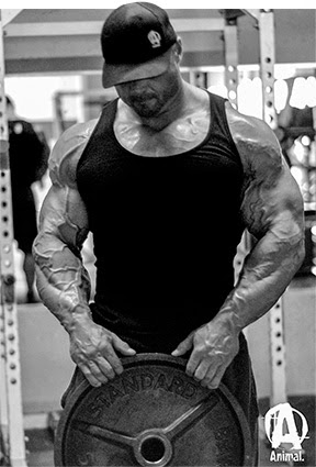 Musculação Frank McGrath Animal Arms Musculação Frank McGrath Animal Arms
