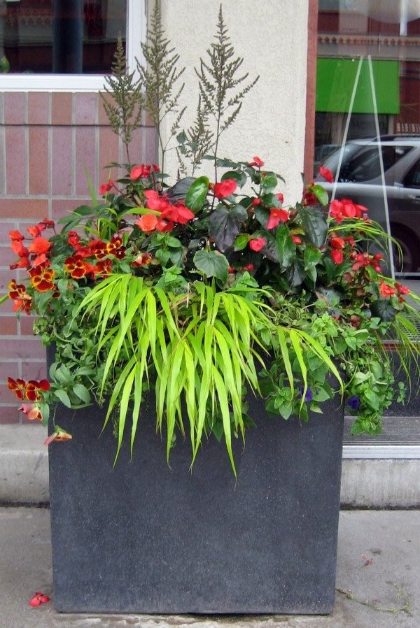 tundra monkey gardening container garden design tundra monkey gardening container garden design