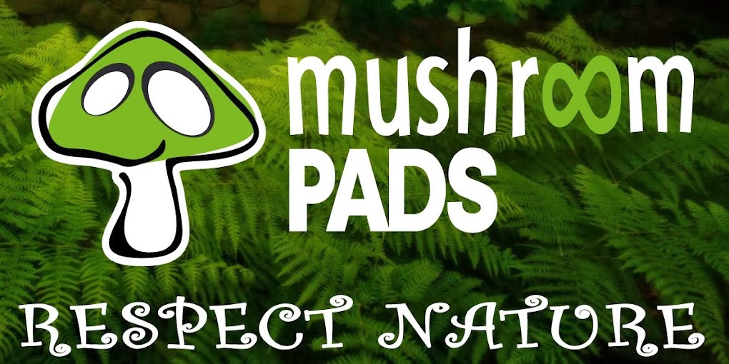 Mushroom Pads