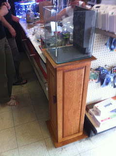 ... pics of the stand inside Skipton, with an empty Nano aquarium on top
