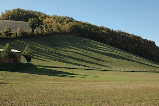 il grande prato nella zona di valico the large lawn in the area pass