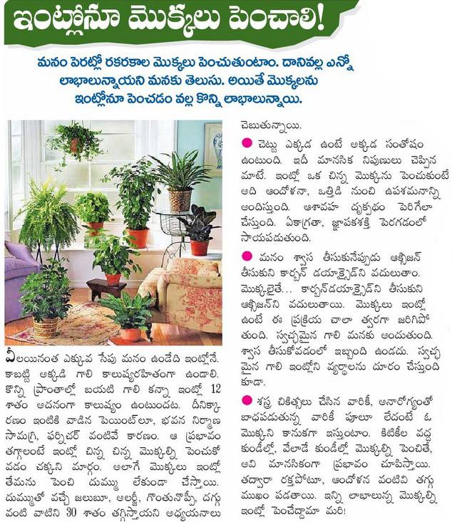 TELUGU WEB WORLD GARDENING TIPS FOR HOME GARDENS IN TELUGU
