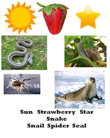 Learn The Fun Way: Resource: Pictures of objects start with letters A to Z