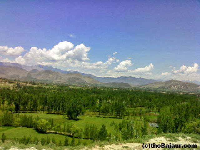 bajaur bajaur