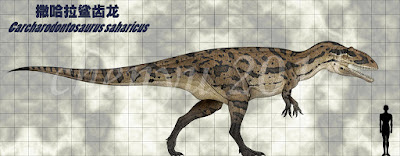 Carcharodontosaurus