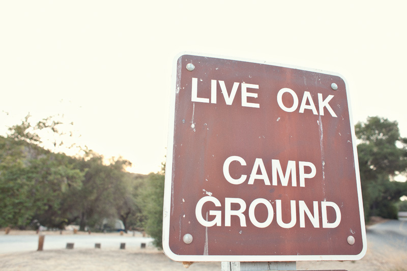 GOLD FEATHERS. ADVENTURES, INSPIRATION, AND OTHER LOVELY THINGS