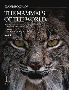 Fun Facts About Andean Cat