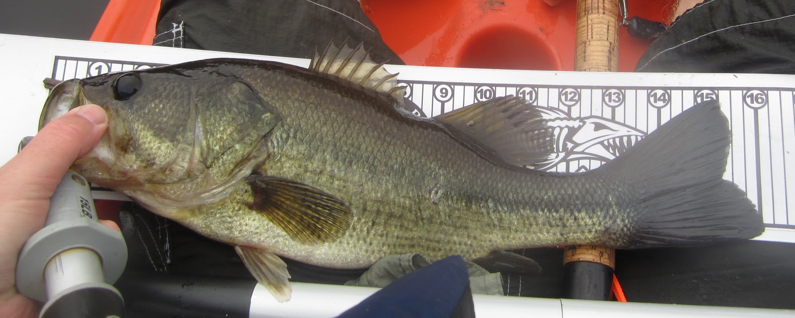 The Unlucky Hunter How To Consistently Catch Fish Step 2 Go Small