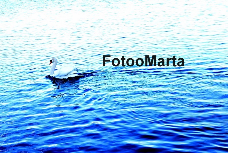 FotoMarta