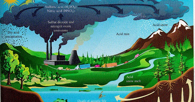 Acid Rain ~ Post Melon Madya ph diagram for nitrogen 