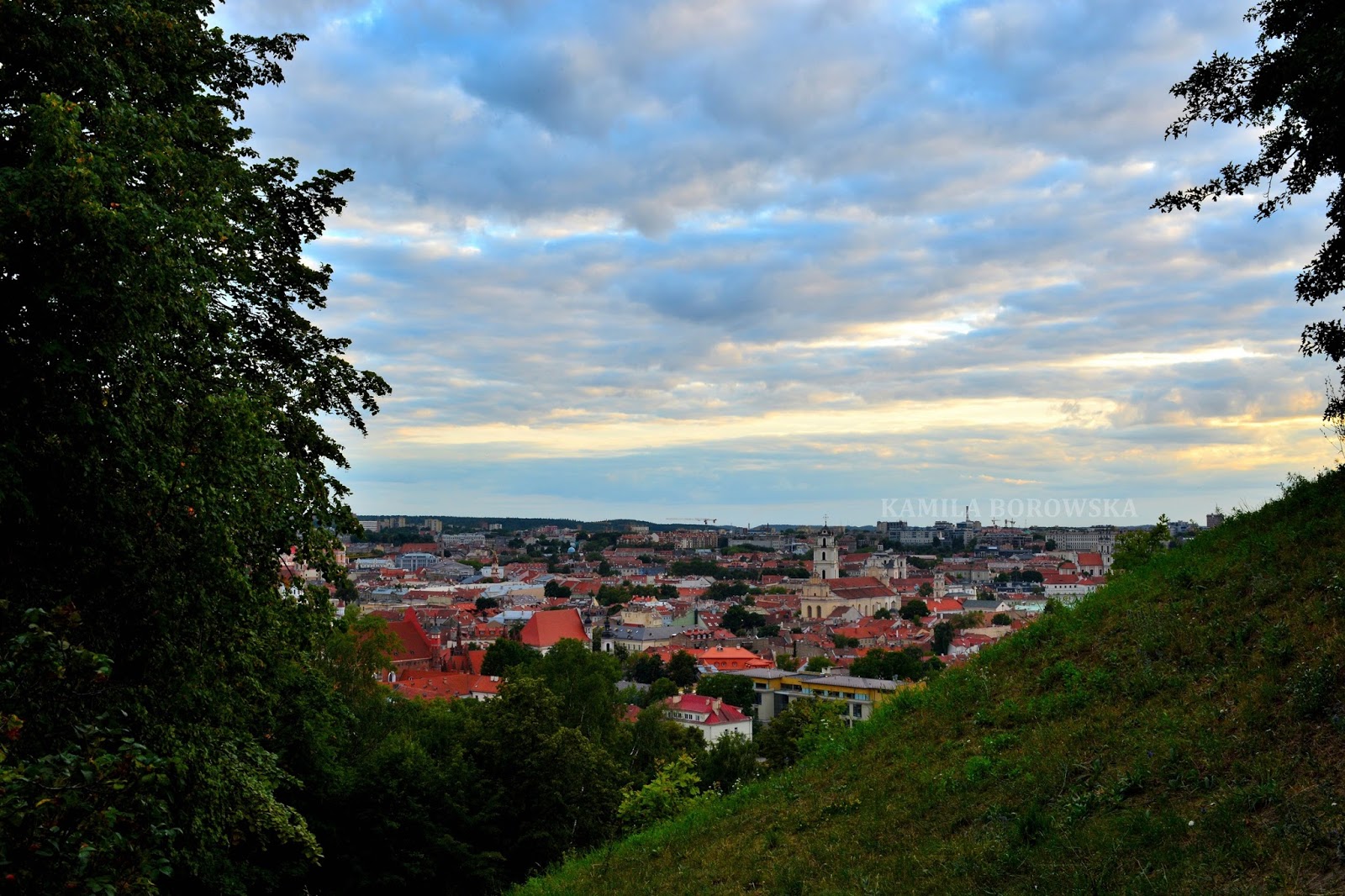 DSC_0120.JPG