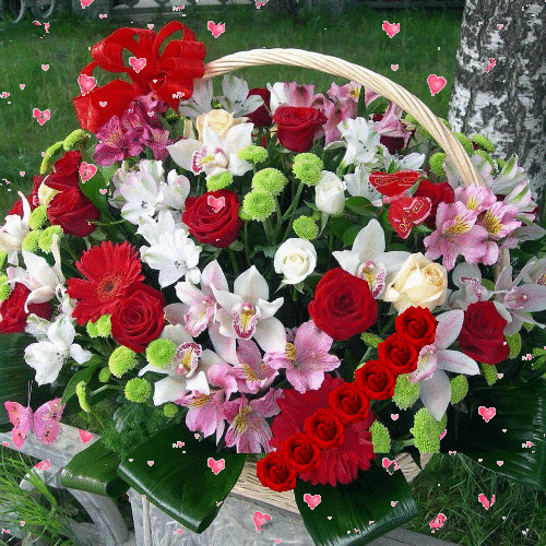 4056265_44d56.gif (500×500) Beautiful flower arrangements, Beautiful flowers, Beautiful rose